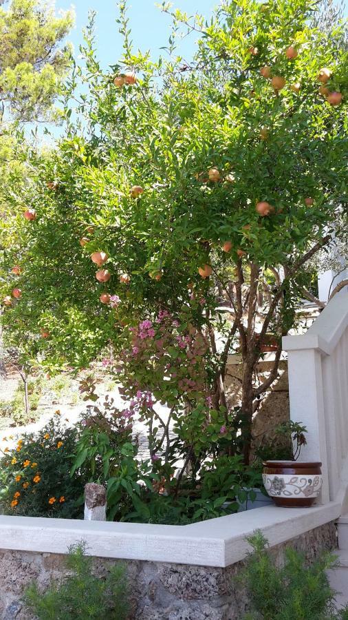 فندق As بريلا المظهر الخارجي الصورة
